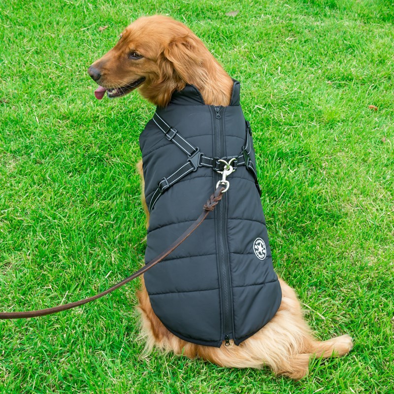 JERRY - Half Sleeve Vest