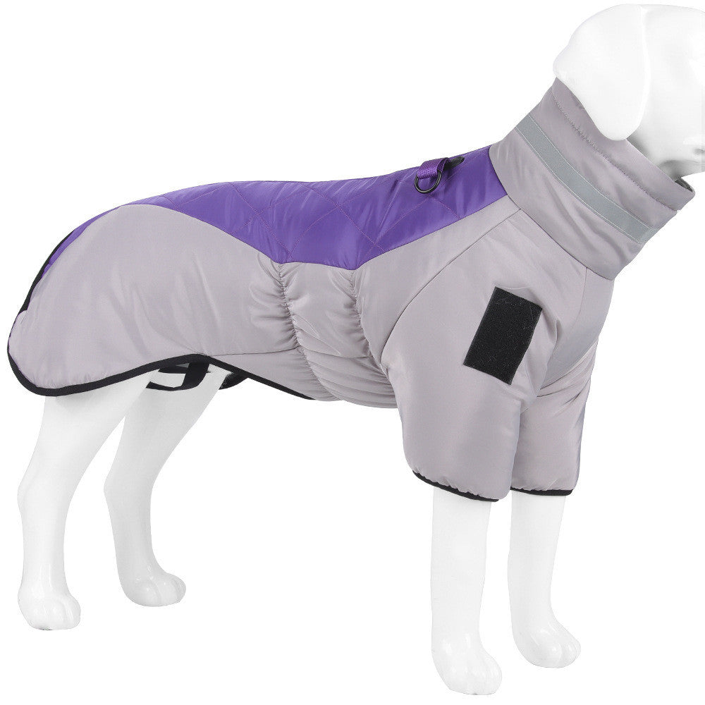 TAYLOR - Winter Coat