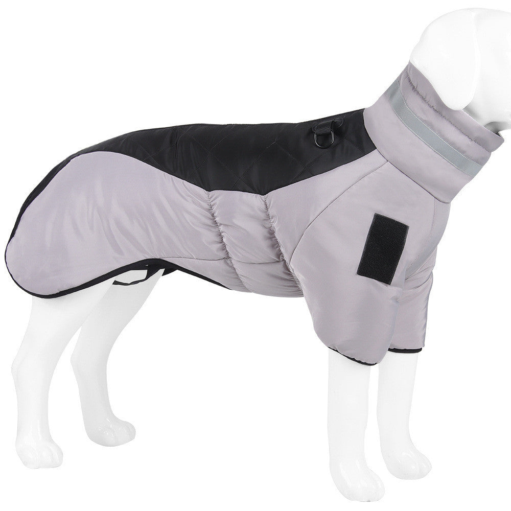 TAYLOR - Winter Coat