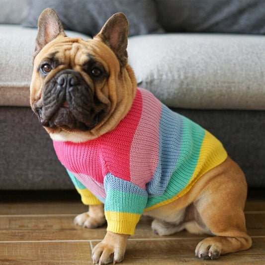 RAINBOW - Half Sleeve Sweater