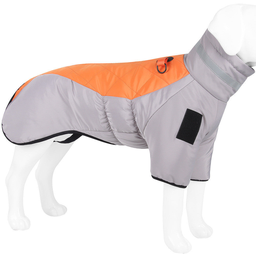 TAYLOR - Winter Coat