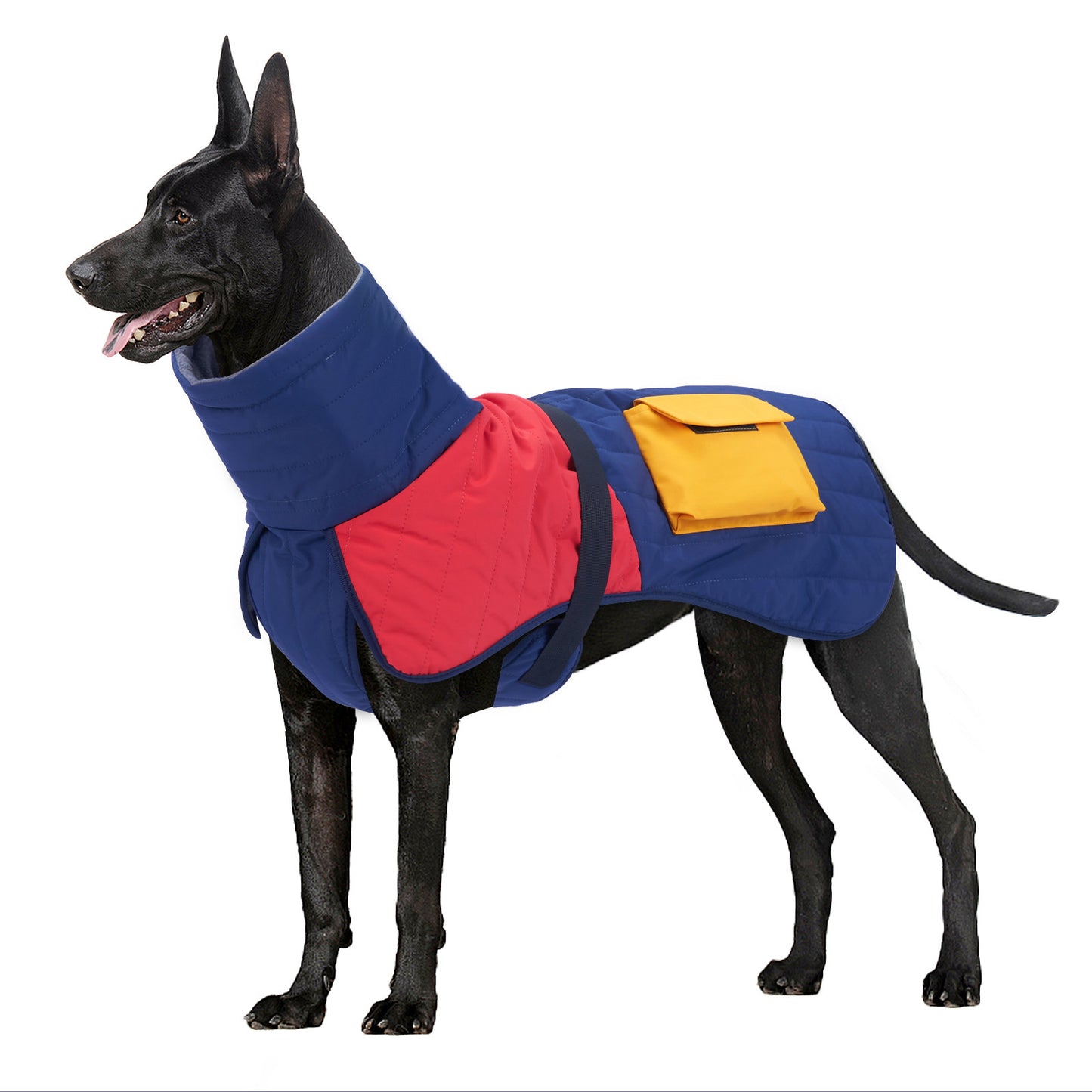 ROSS - Winter Coat